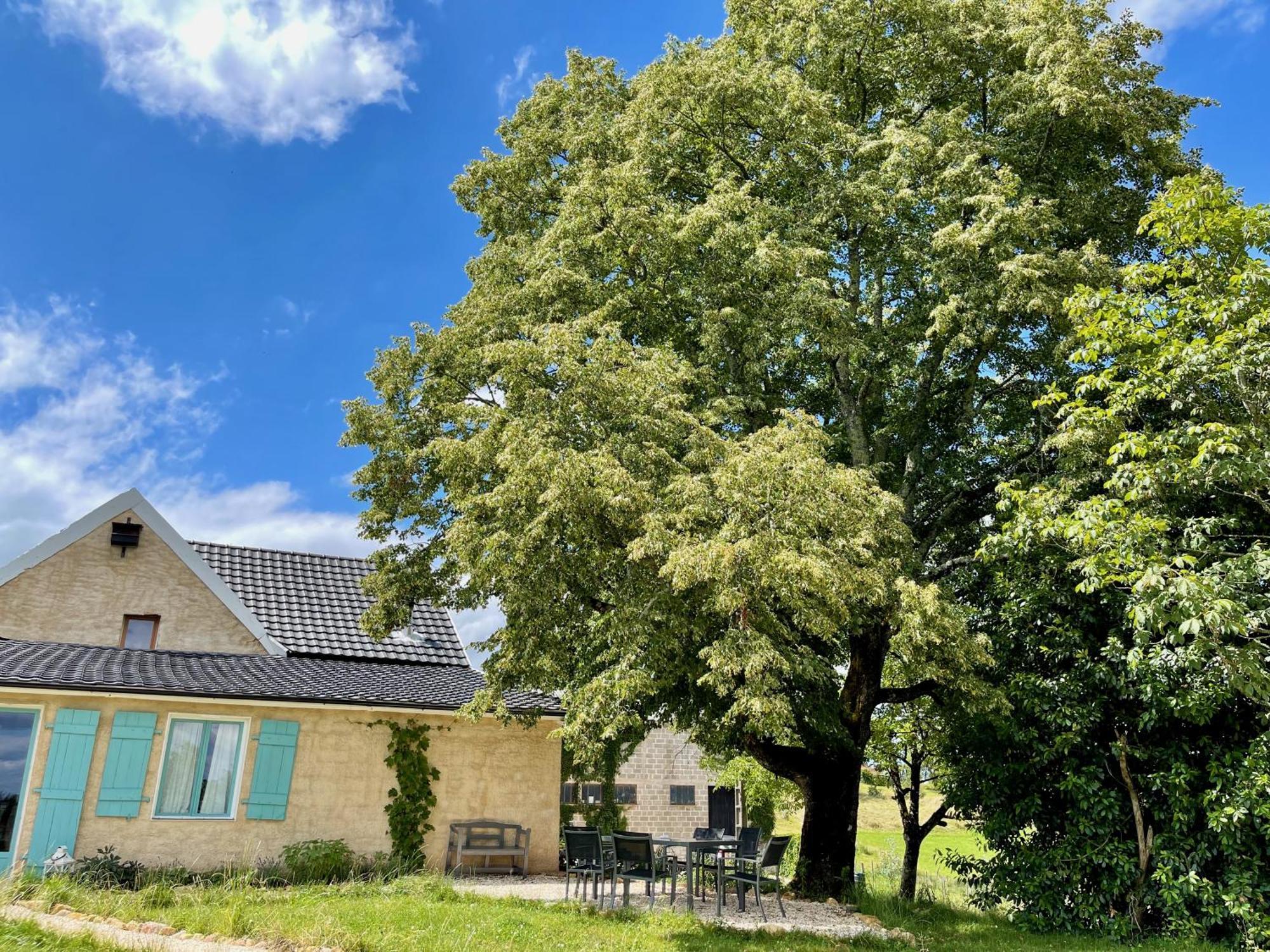 La Belle Petite Ferme Rosiers De Julliac 19350 Villa Le Bos Exteriör bild