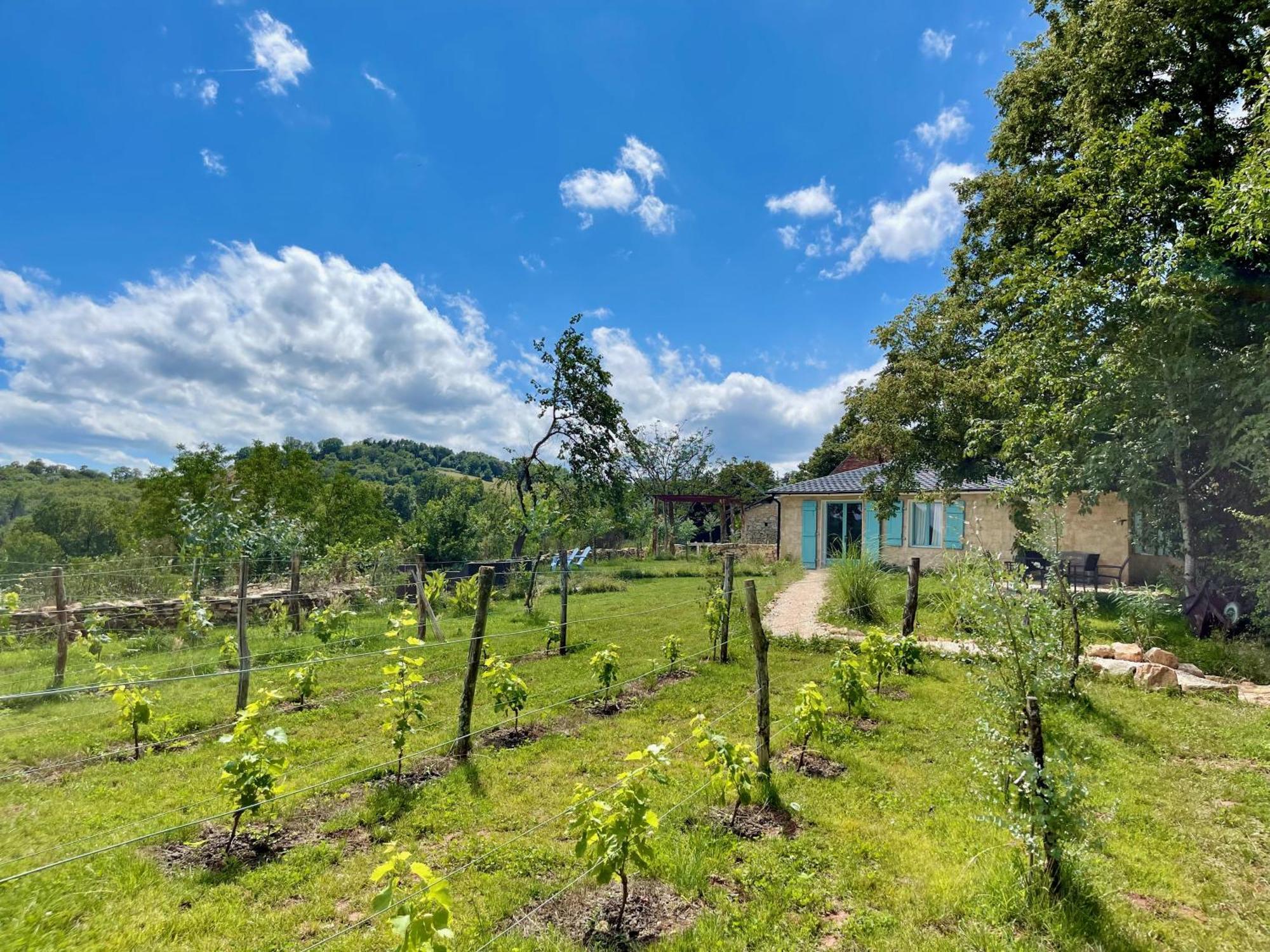 La Belle Petite Ferme Rosiers De Julliac 19350 Villa Le Bos Exteriör bild